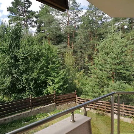 Apartment Pine Trees Bansko
